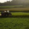 Solidarische Landwirtschaft