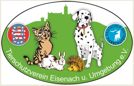 Tierschutzverein Eisenach