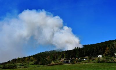 Waldbrand